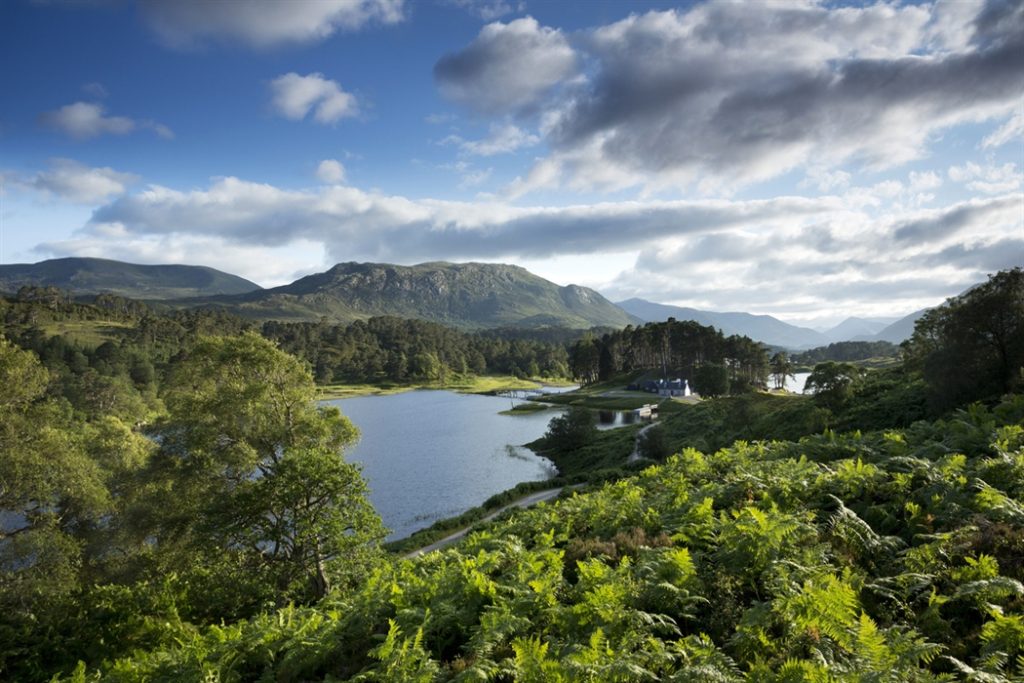 Glen Affric Placeholder Image