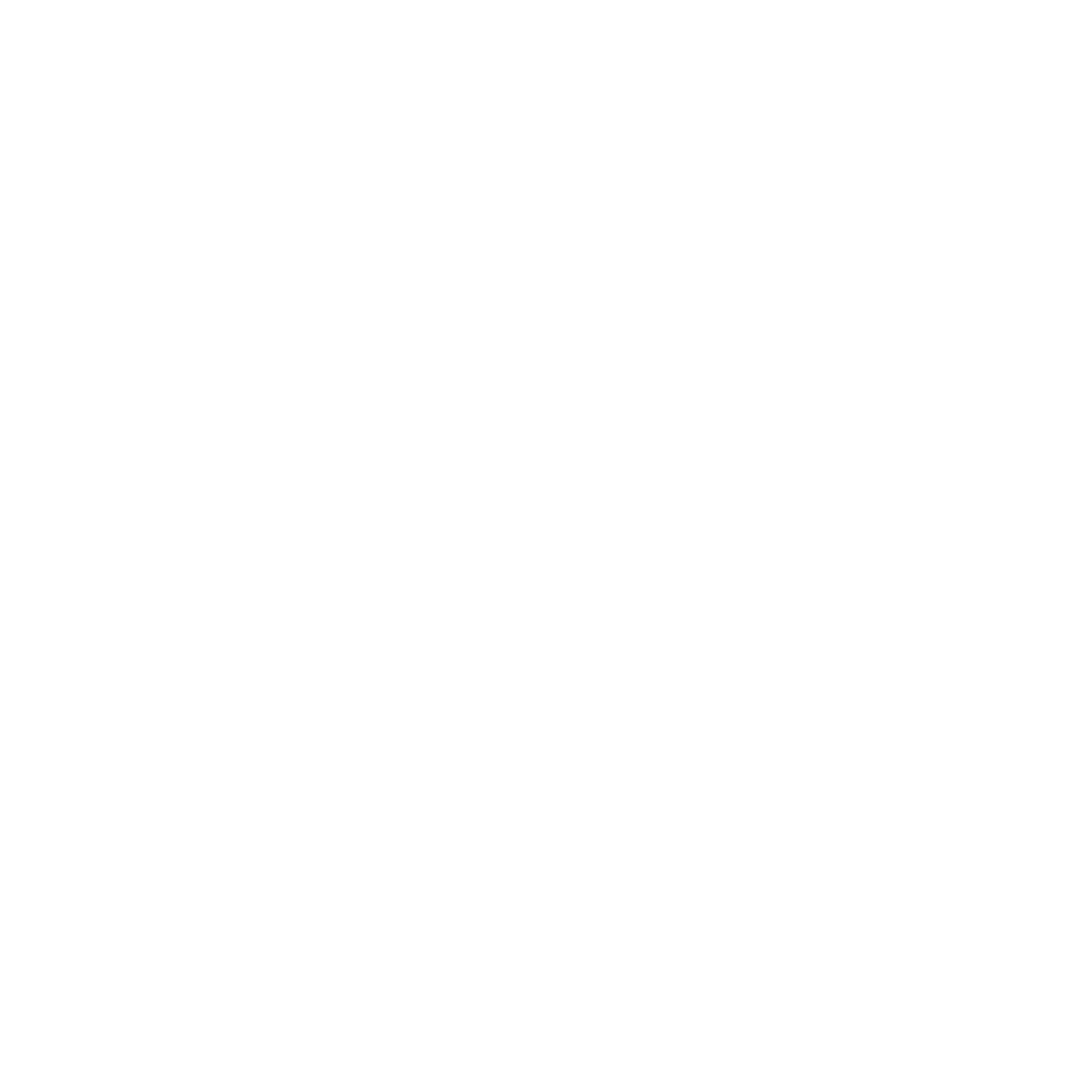 Travel Icon Plane